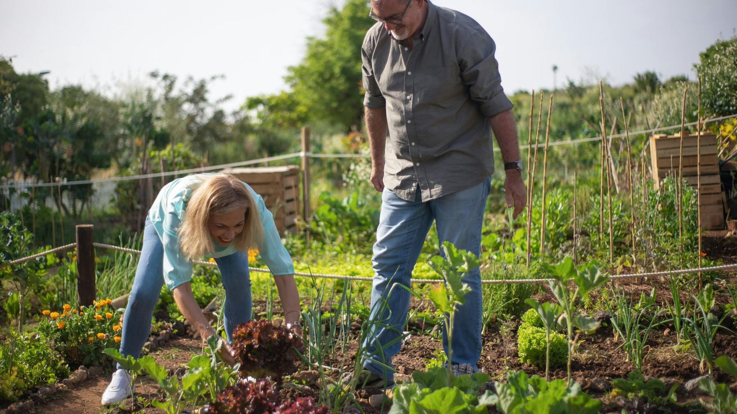 Why Sustainable Living Helps Fight Biodiversity Loss